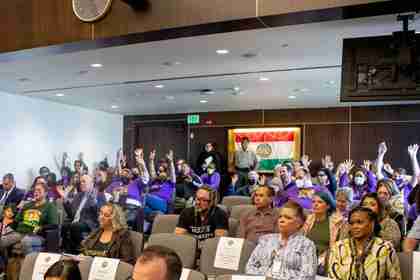 Board of Supervisors chambers flooded with purple and thousands of petitions